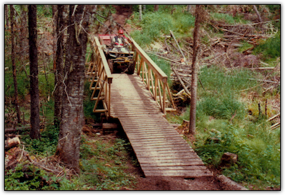 Bridge and trail construction in LSLPP by Doug Greenfield
